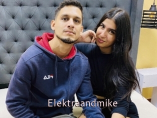 Elektraandmike