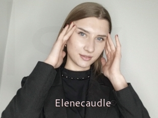 Elenecaudle