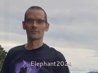 Elephant2024