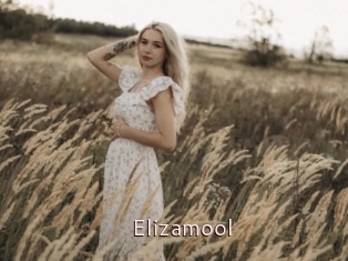 Elizamool