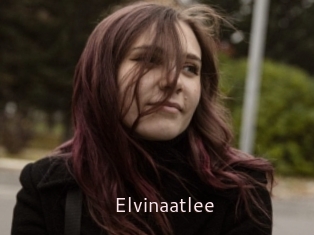 Elvinaatlee