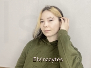 Elvinaaytes