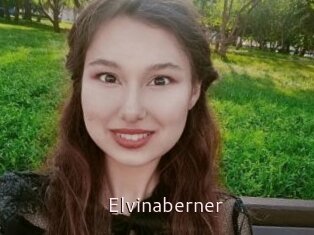 Elvinaberner