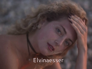 Elvinaesser