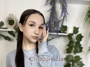 Elvinagrindle