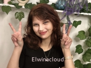 Elwinacloud