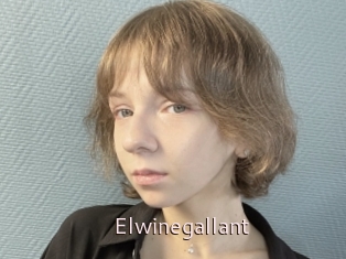 Elwinegallant