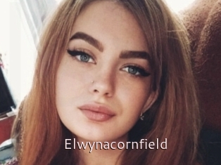 Elwynacornfield