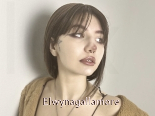 Elwynagallamore