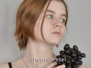 Elwynahessel