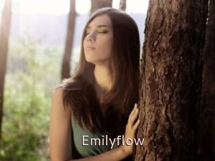 Emilyflow