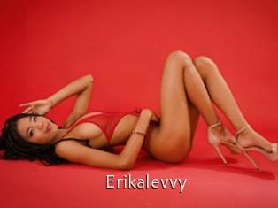 Erikalevvy