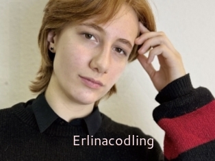 Erlinacodling