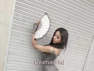 Evamadriid