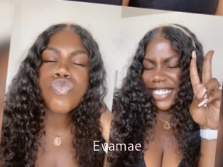 Evamae