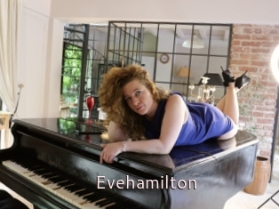 Evehamilton