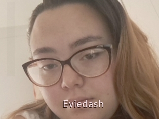 Eviedash