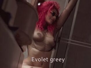 Evolet_greey