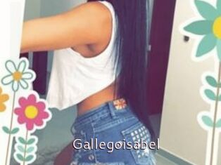 Gallegoisabel