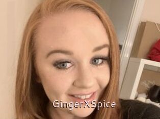 GingerXSpice