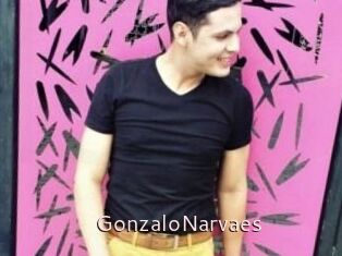 GonzaloNarvaes