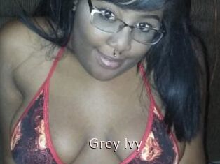 Grey_Ivy