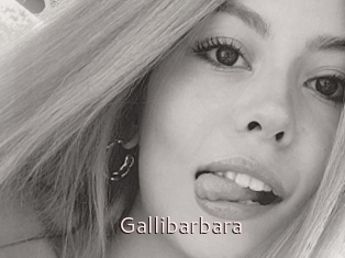 Gallibarbara