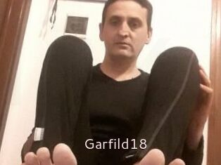 Garfild18