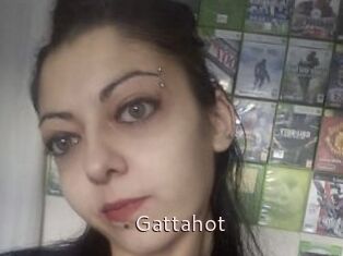 Gattahot