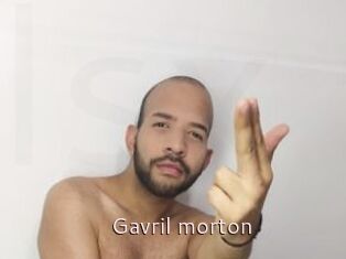 Gavril_morton