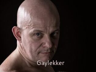 Gaylekker