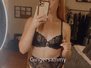 Gingersammy