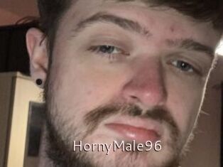 HornyMale96