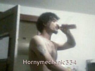 Hornymechanic334