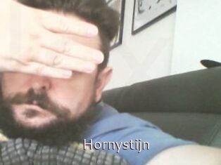 Hornystijn