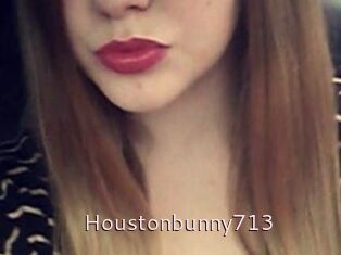 Houstonbunny713