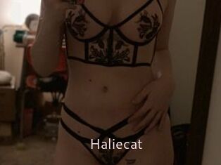 Haliecat