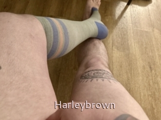 Harleybrown