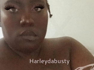 Harleydabusty