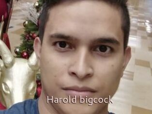 Harold_bigcock