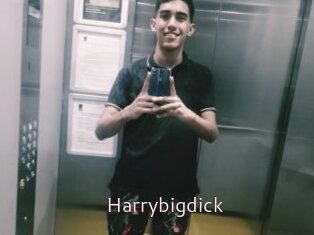 Harrybigdick