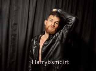 Harrybsmdirt