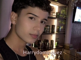 Harrydominguez