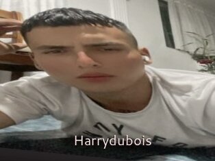 Harrydubois