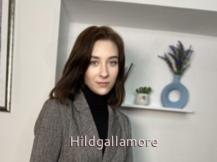 Hildgallamore