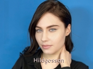 Hildgosson