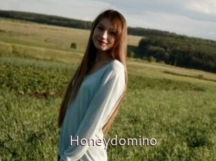 Honeydomino