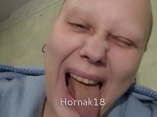 Hornak18