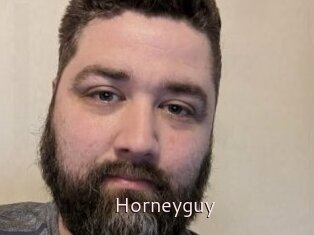 Horneyguy