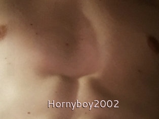 Hornyboy2002